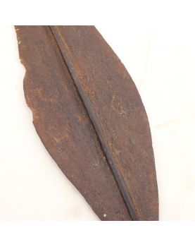 Pointe de Lance du Congo