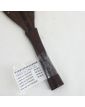 Congo Spearhead