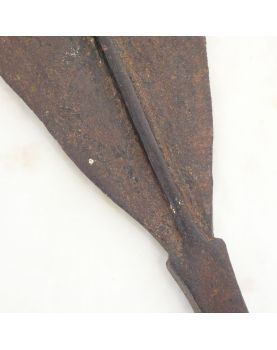 Congo Spearhead