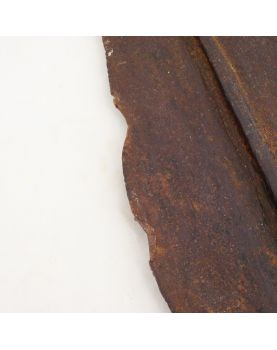 Congo Spearhead