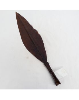 Congo Spearhead