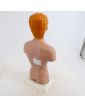 Torse Anatomie du Corps Humain