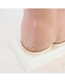 Torse Anatomie du Corps Humain
