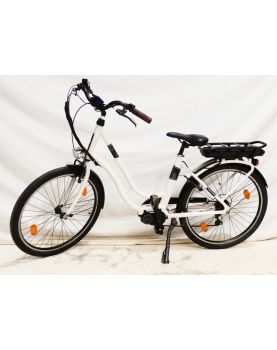 Nakamura Electric Bike