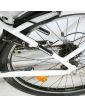 Nakamura Electric Bike