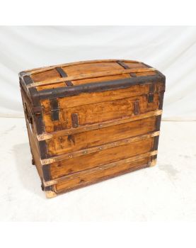 MOYNAT trunk