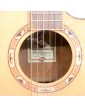 Guitare PRIMAVERA avec Amplificateur et Pochette