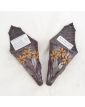 Paire de Petites Bouquetières en Terre Cuite