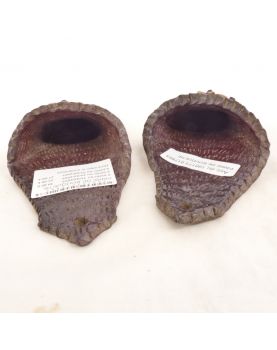 Paire de Petites Bouquetières en Terre Cuite