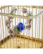 Cage à Oiseau en Laiton