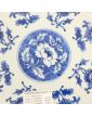Plat Asie Bleu