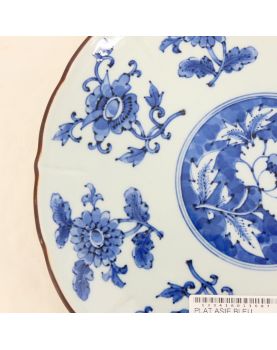 Plat Asie Bleu
