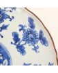 Plat Asie Bleu