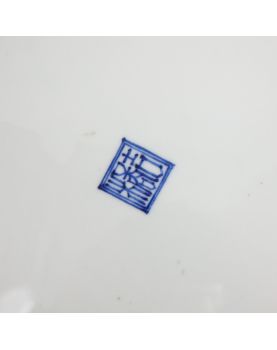 Plat Asie Bleu