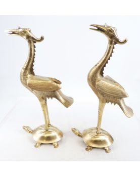 Pair of Birds on Turtle Vietnam