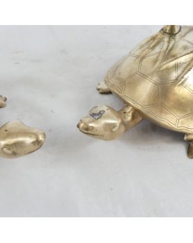 Paire d’Oiseaux sur Tortue Vietnam