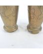 Paire de Vases Asie en Laiton