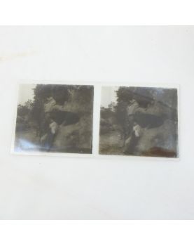 Viewer with Glass Plates