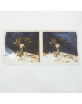 Visionneuse avec Plaques en Verre