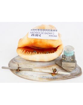 Encrier de Bazar Coquillage