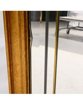 Rectangular Mirror with Gold and Decorated Frame