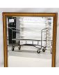 Beveled Gold Frame Mirror