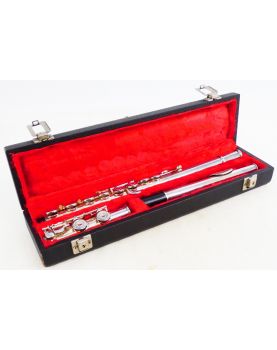 BORGANI Transverse Flute in its Case