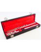 BORGANI Transverse Flute in its Case