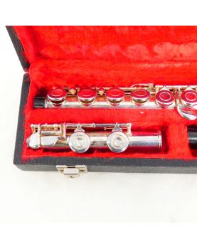 BORGANI Transverse Flute in its Case