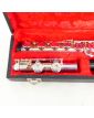 BORGANI Transverse Flute in its Case