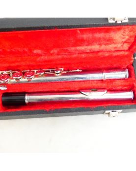 BORGANI Transverse Flute in its Case