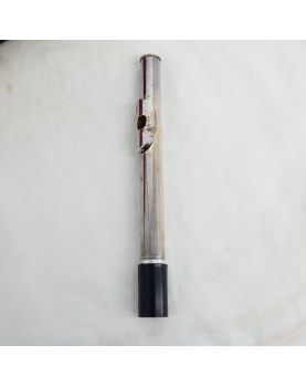 BORGANI Transverse Flute in its Case