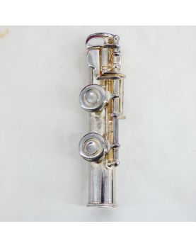 BORGANI Transverse Flute in its Case