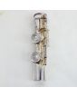 BORGANI Transverse Flute in its Case
