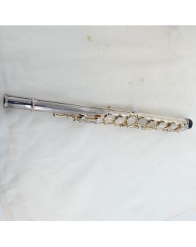 BORGANI Transverse Flute in its Case