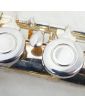 BORGANI Transverse Flute in its Case