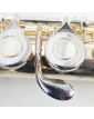 BORGANI Transverse Flute in its Case