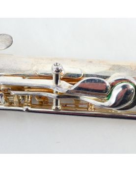 BORGANI Transverse Flute in its Case
