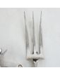 Art Nouveau Carving Set in Silver Metal in its Box