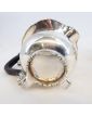 Silver Metal Teapot and Milk Jug Set by Gandais PALA