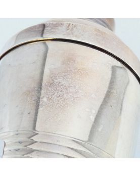 Vulcain Mini Shaker