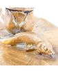 Art Nouveau Cellar Rat Candle Holder with Fish and Water Lilies