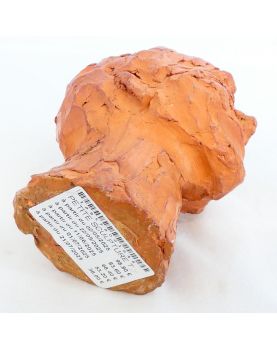 Small Terracotta Face Sculpture