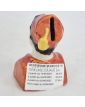 Petite Tirelire Zouave en Porcelaine Polychrome