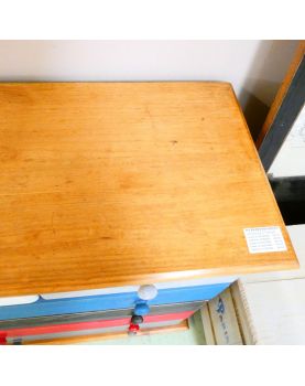 Chest of drawers Dressed with 5 Drawers Coloured