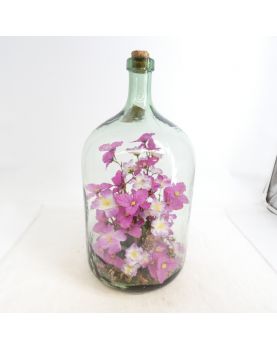 Dame Jeanne 15 Liters with Artificial Flowers Inside