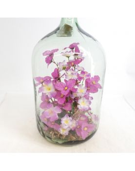 Dame Jeanne 15 Liters with Artificial Flowers Inside