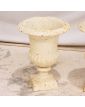 Paire de Vases Médicis Blancs