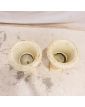 Pair of White Medici Vases