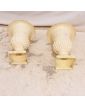 Pair of White Medici Vases